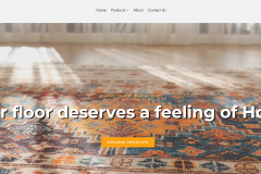 Complete Branding & Website Development for TrishaktiGlobal Trade 